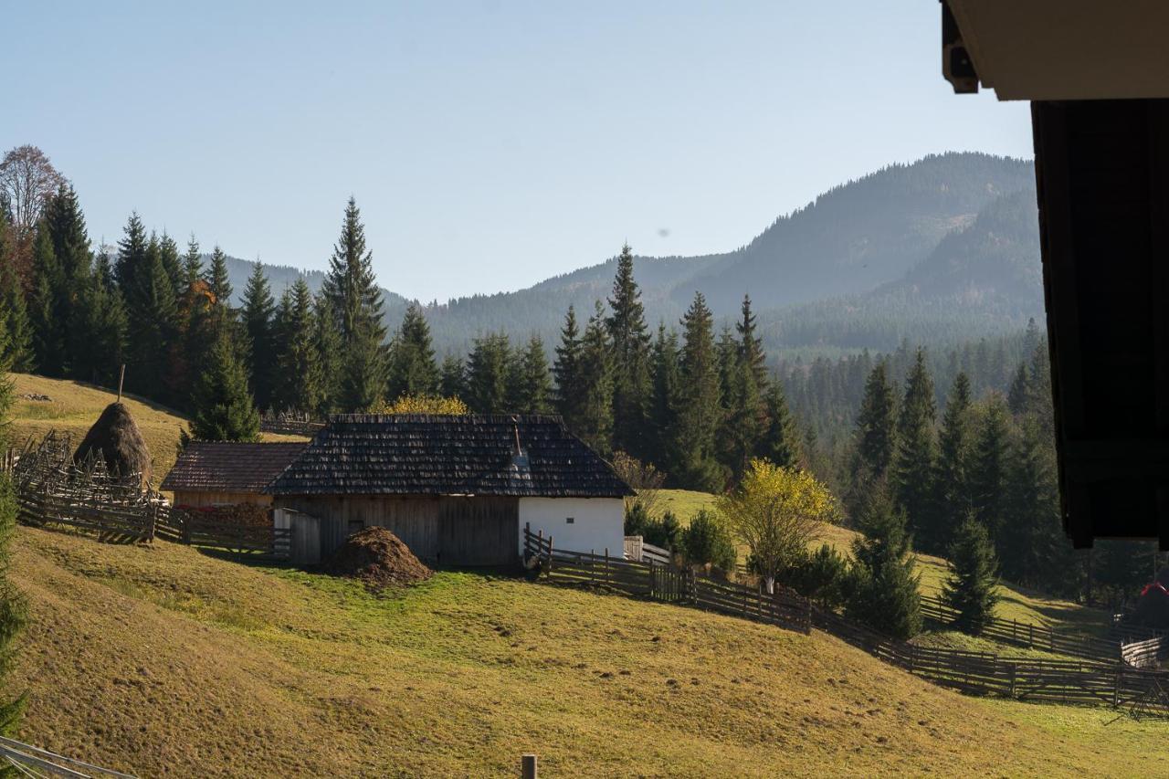 Pensiunea Izvorul Zanelor Colibiţa Exterior foto